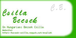 csilla becsek business card